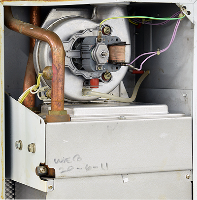 bx pt suprima 100 inner top.jpg